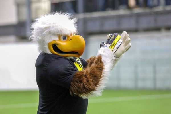 Eagles mascot clapping